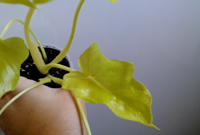 20180930_151434.jpg