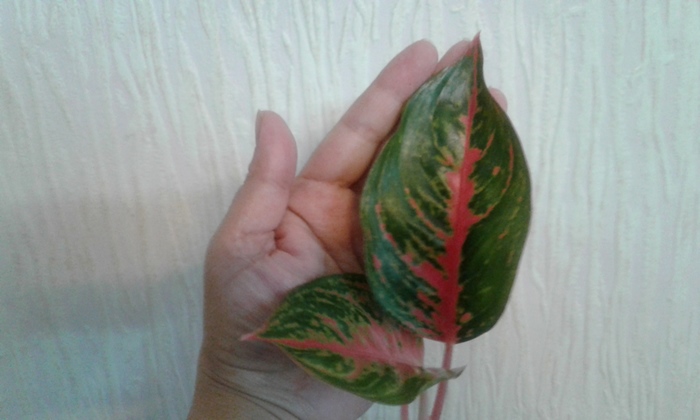 20180930_151627.jpg