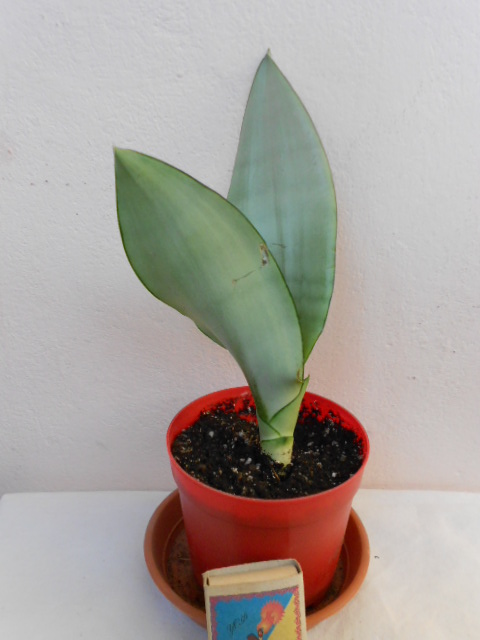 DSCN4555.JPG