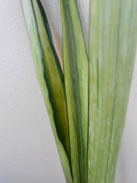 DSCN4615.JPG