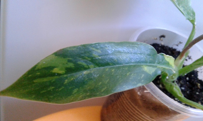 20181014_113954.jpg