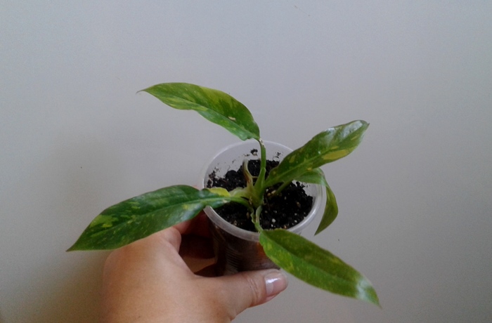 20181014_113933.jpg