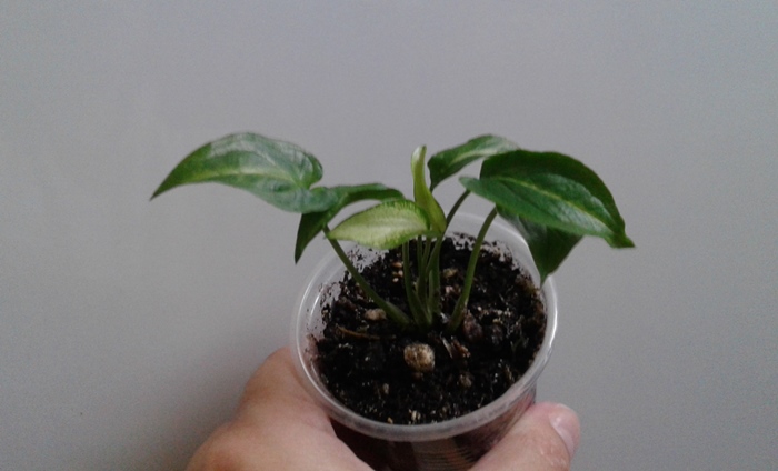 20181030_105223.jpg