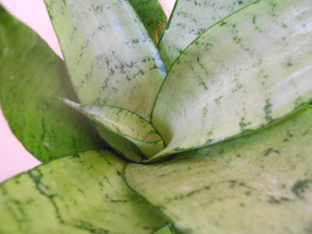 DSCN4939.JPG