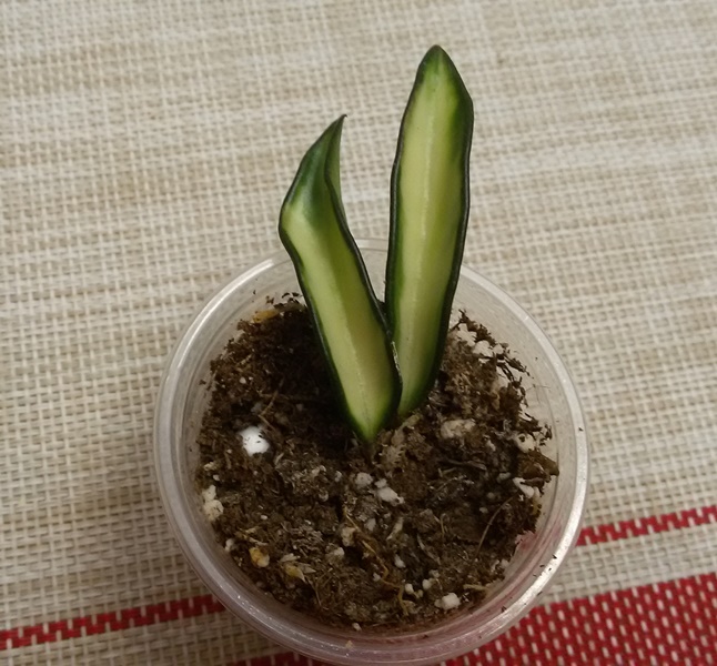 20181104_204604.jpg