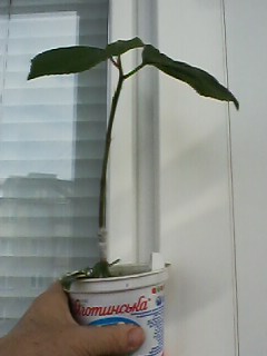 IMG00332.jpg