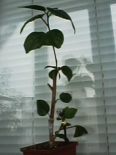 IMG00328.jpg