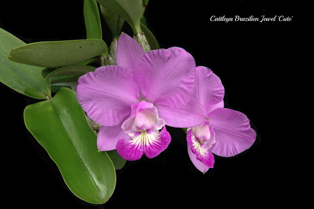 viber image11.jpg