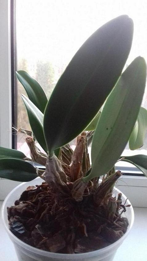 20181108_160231.jpg
