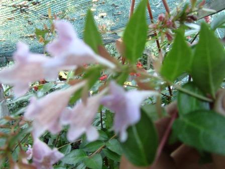 IMG_8001.JPG