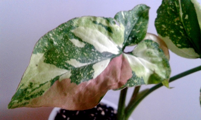 20181027_161705.jpg