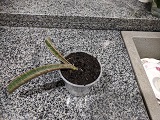 IMG_20181117_172515.jpg