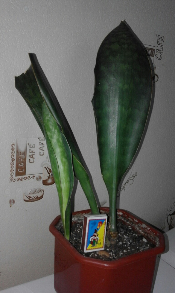 113.jpg