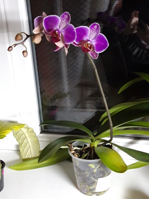 20190129_200314.jpg