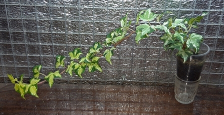 20190129_200709.jpg