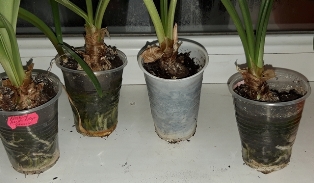 20190129_200558.jpg