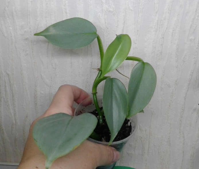 20190125_202930.jpg