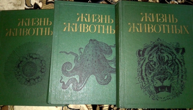 20190203_141624.jpg