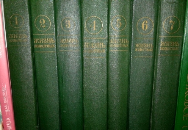 20190203_141527.jpg