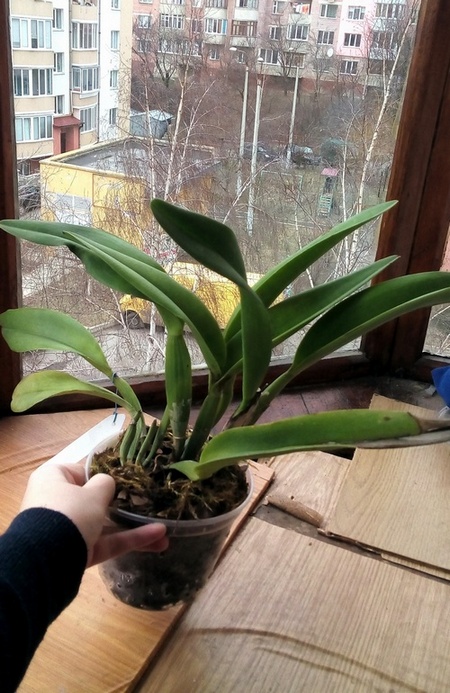 20190217_152024.jpg
