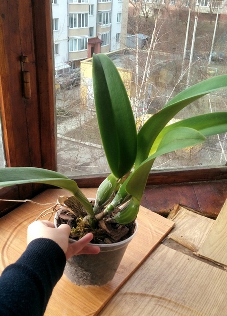 20190217_145704.jpg