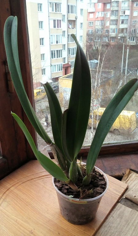 20190217_152117.jpg