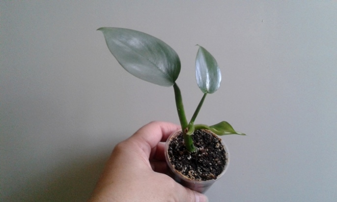 20190308_170024.jpg