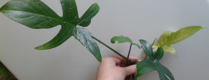 20190317_171858.jpg