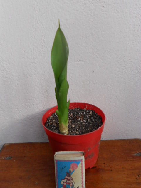 DSCN5568.JPG