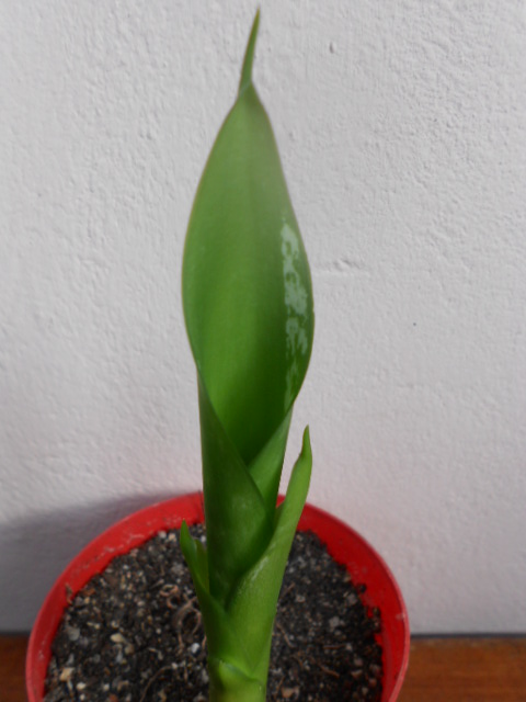 DSCN5567.JPG