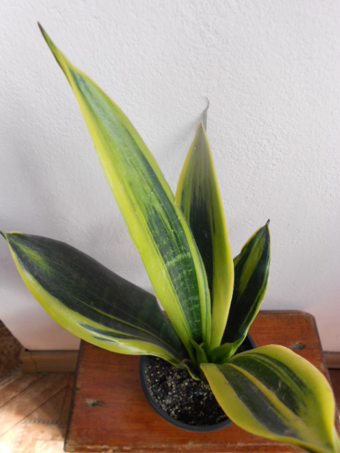 DSCN5559.JPG