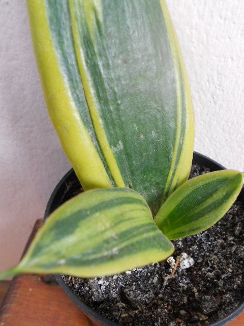 DSCN5557.JPG