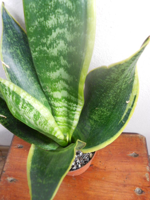 DSCN5574.JPG