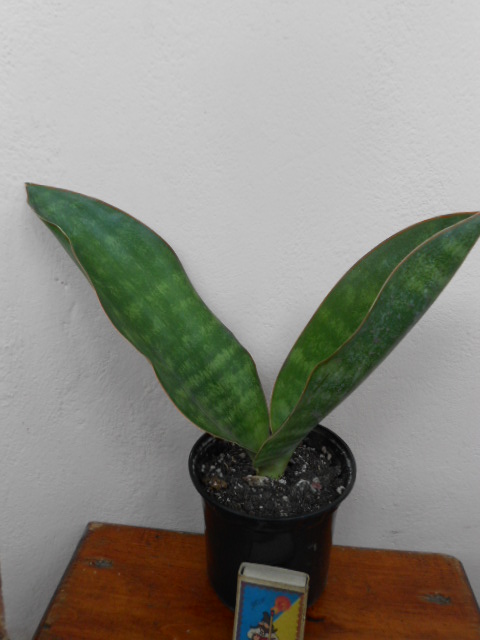 DSCN5443.JPG