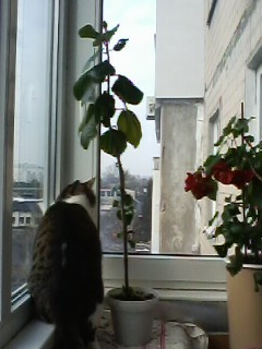 IMG00422.jpg