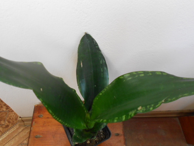 DSCN5658.JPG