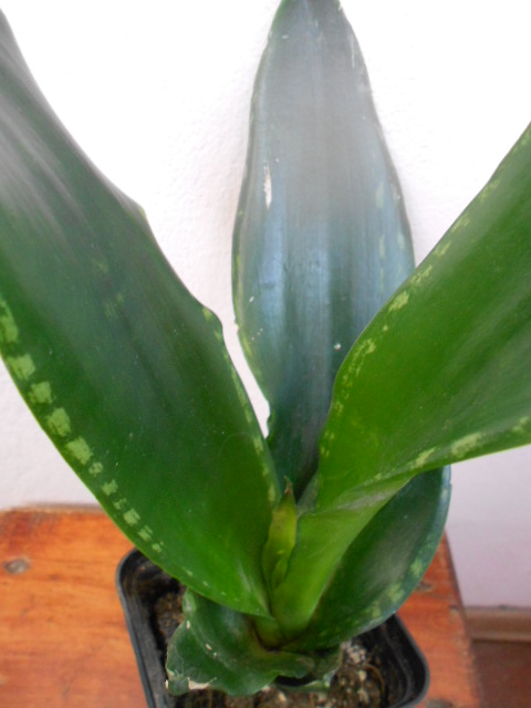 DSCN5659.JPG