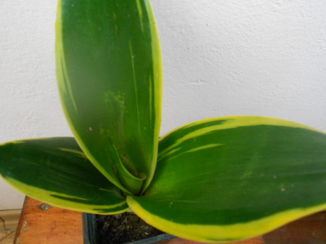 DSCN5653.JPG