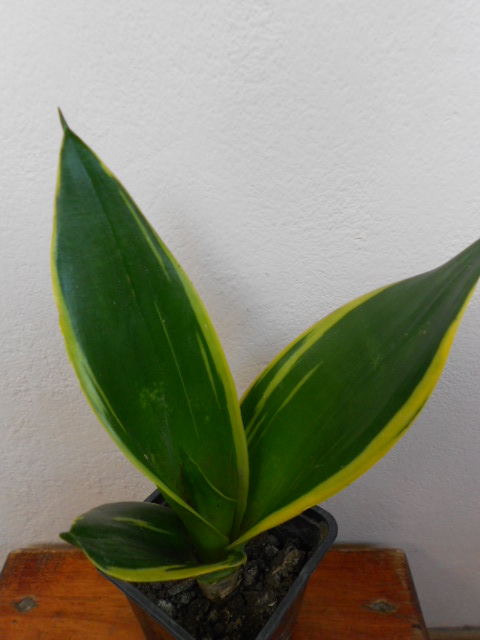 DSCN5654.JPG