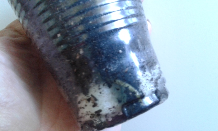 20190403_132559.jpg