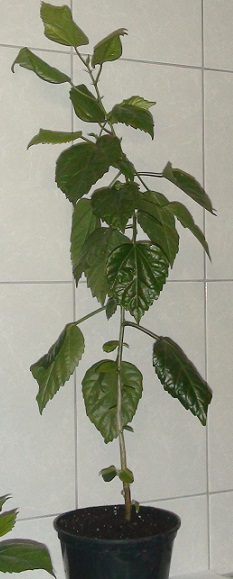 DSC01588.JPG