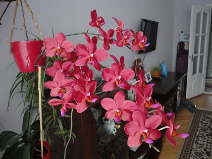 DSC01046.JPG
