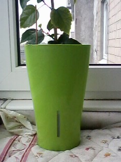 IMG00508.jpg