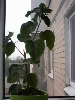 IMG00507.jpg