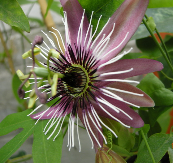 DSCN1895.JPG