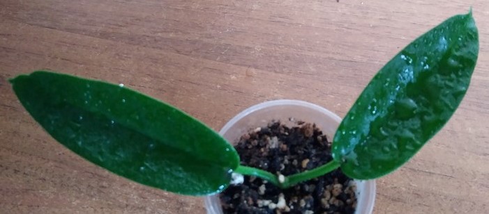 2019-04-30_214747.jpg