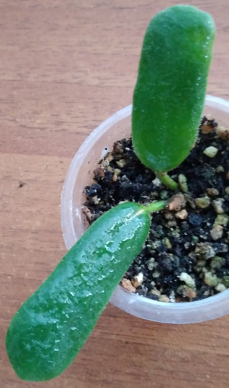 2019-04-30_215010.jpg