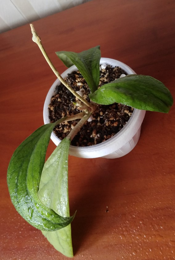 2019-04-30_215338.jpg