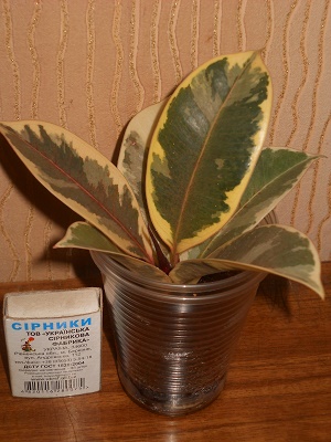 DSCN9354.JPG