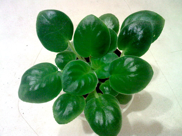 SP_A7307.jpg